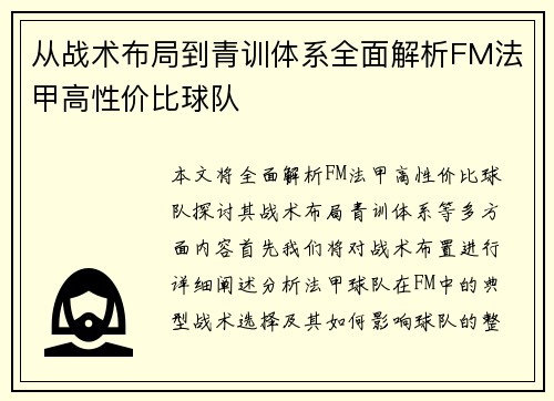 从战术布局到青训体系全面解析FM法甲高性价比球队