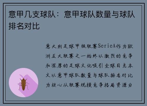 意甲几支球队：意甲球队数量与球队排名对比