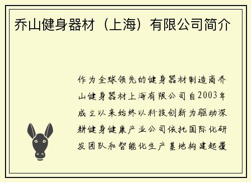乔山健身器材（上海）有限公司简介