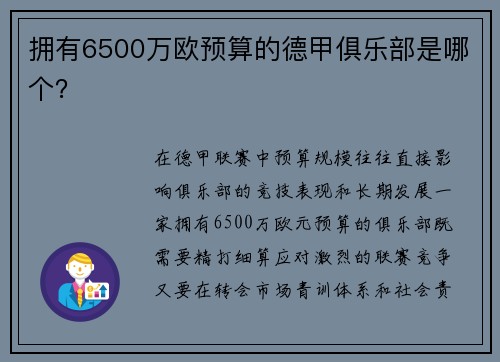 拥有6500万欧预算的德甲俱乐部是哪个？
